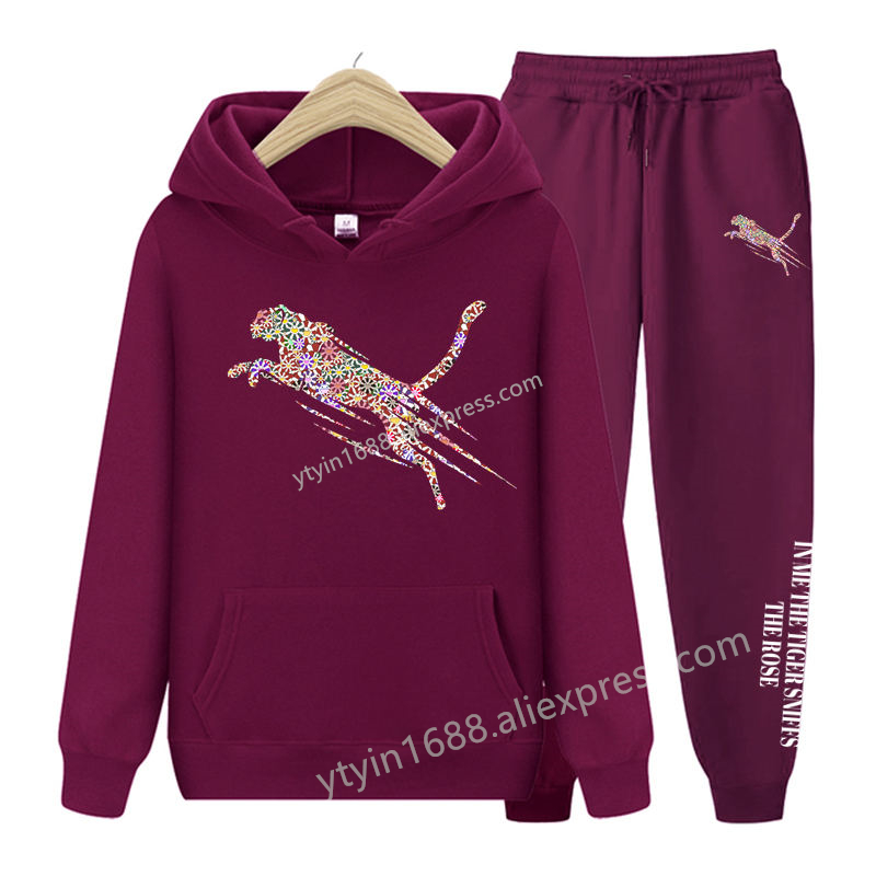 Womens TrackSuit  Aesthetic Sw - Fleece Hoodie Lined 评论和价格