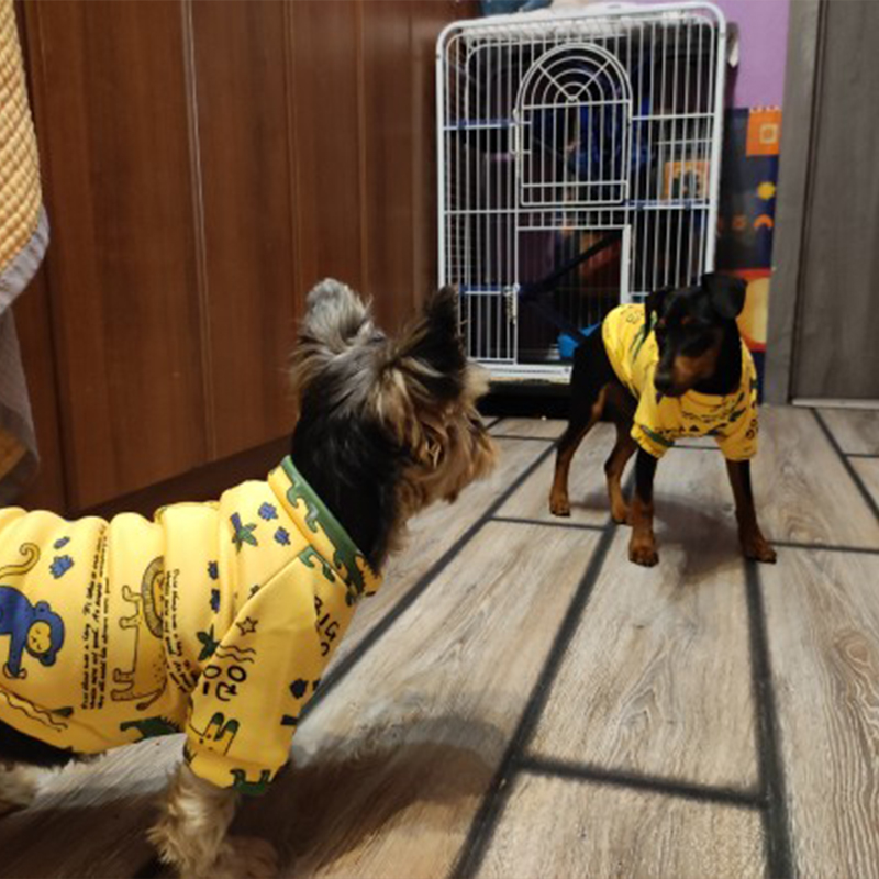 Xs Dog Clothes for Small Dogs  - Winter Clothing For Toddlers 评论和价格